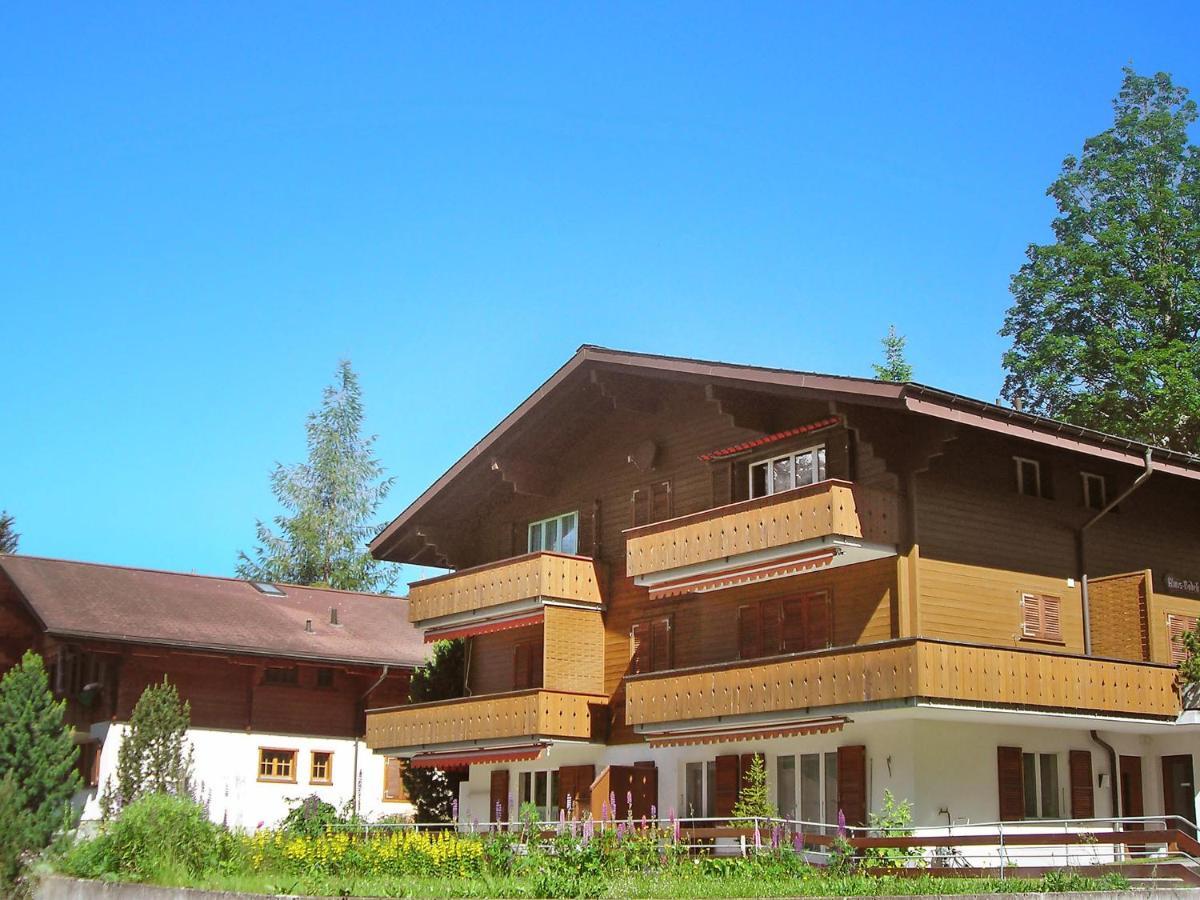Apartment Chalet Almis-Boedeli-2 By Interhome 格林德瓦 外观 照片